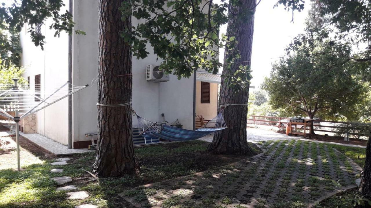 Holiday House Pinus Pinea Viganj Zewnętrze zdjęcie